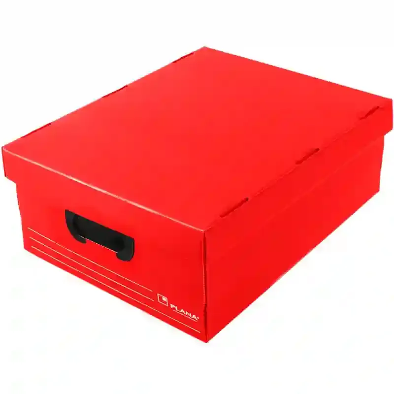 Cajas archivo plasticas grandes 45x35x15cm Plana 801 unidad Organizador